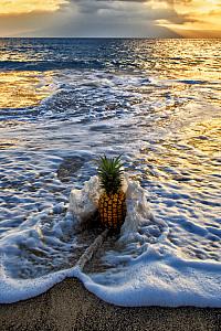 Pineapple Sunset Fine Art Photograph on Metal