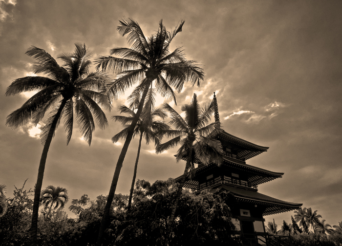 The Jodo Mission in Lahaina Fine Art Photograph on Metal